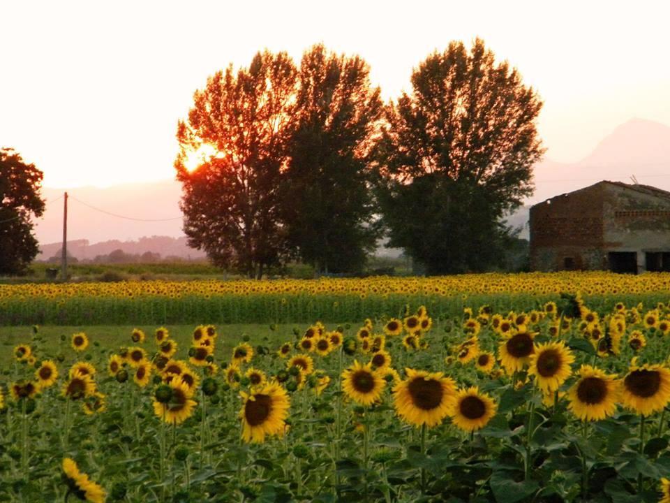 Agriturismo Settepassi Tuscany Ponte Buggianese Esterno foto